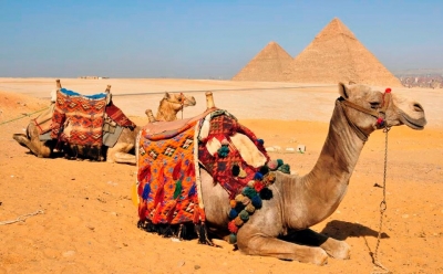 Sound and Light Show at the Pyramids
