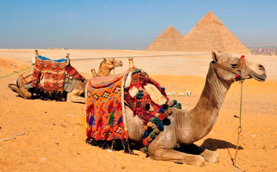 Sound and Light Show at the Pyramids